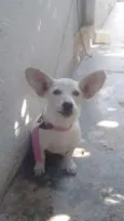 Não sabemos