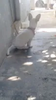 Não sabemos