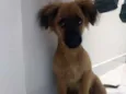 Teco