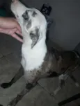 Marie