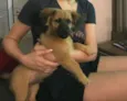 Teco