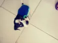 Nino