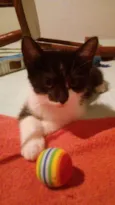 Tommy, Billy 
