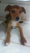 KINZIMHO