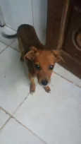 KINZIMHO