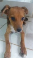 KINZIMHO
