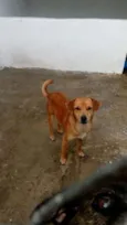 BILÚ