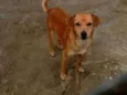 BILÚ