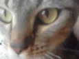 Julhy