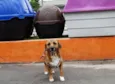 Billy