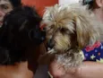 Cocada e Biju