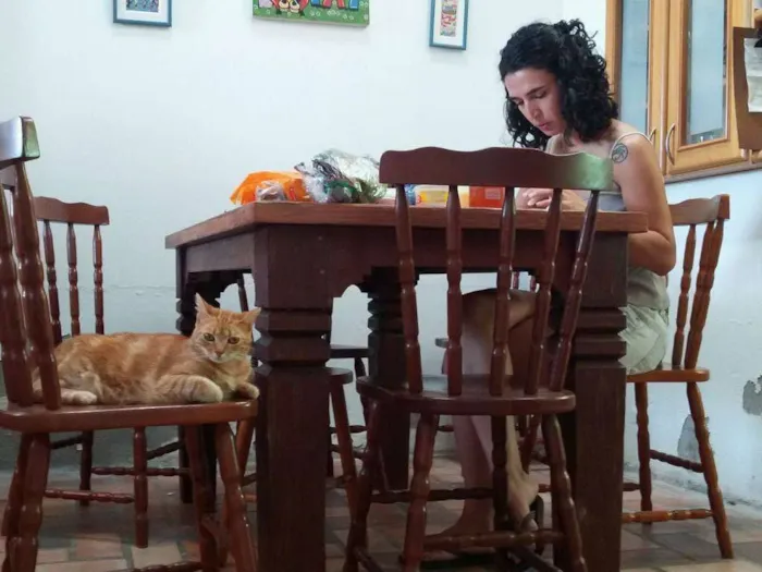 Gato ra a sem raça definida idade 4 anos nome Caipora