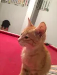 Nala