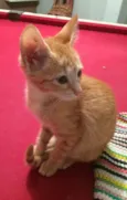 Nala