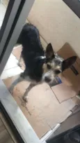 Não tem 