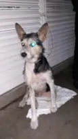 Não tem 