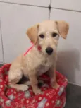 Mel