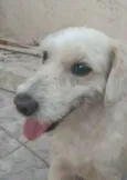 Fred