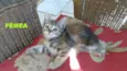 ainda não tem