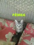 ainda não tem