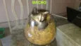 ainda não tem