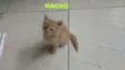 ainda não tem