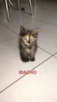 ainda não tem