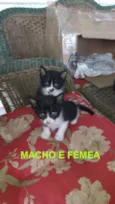 ainda não tem