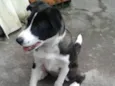 Lulu