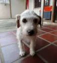Bella