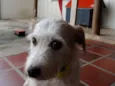 Bella