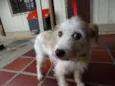 Bella