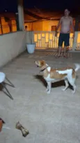 Paçoca