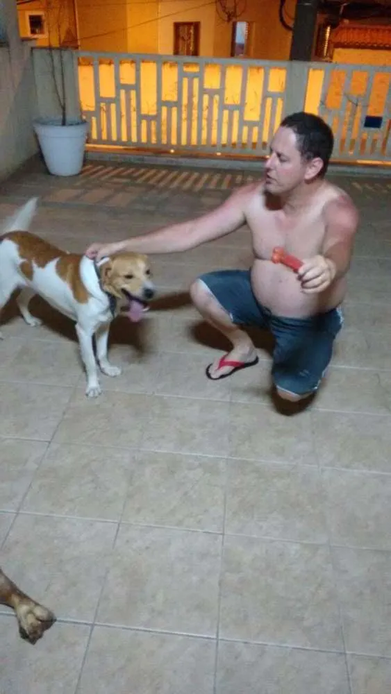 Cachorro ra a Não defenida idade 1 ano nome Paçoca