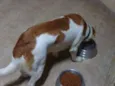 Paçoca