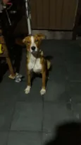 LARGURA