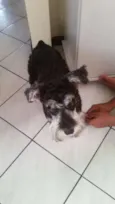 Bella