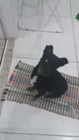 Lucky