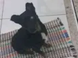 Lucky