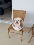 NICK