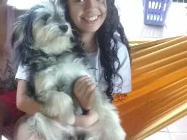 Cachorro ra a Srd  idade 2 anos nome Vitória 