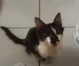 Mia