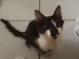 Mia