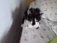 Mia