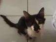 Mia