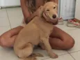 Lua
