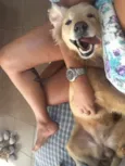 Lua