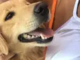 Lua