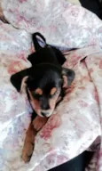 Vicky