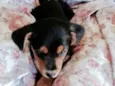 Vicky